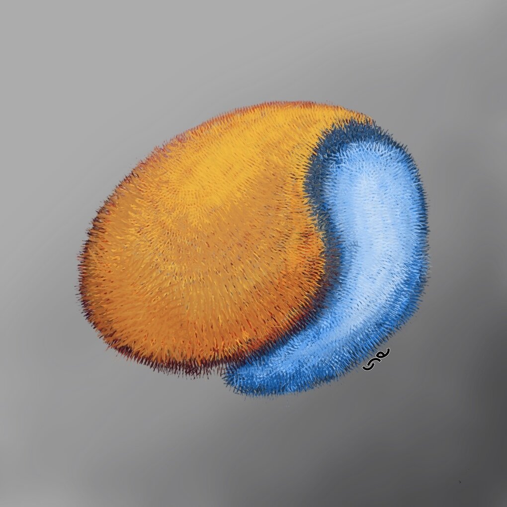 bending_Clay.jpg